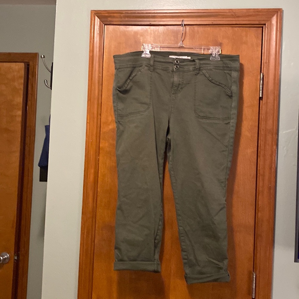 Torrid capris